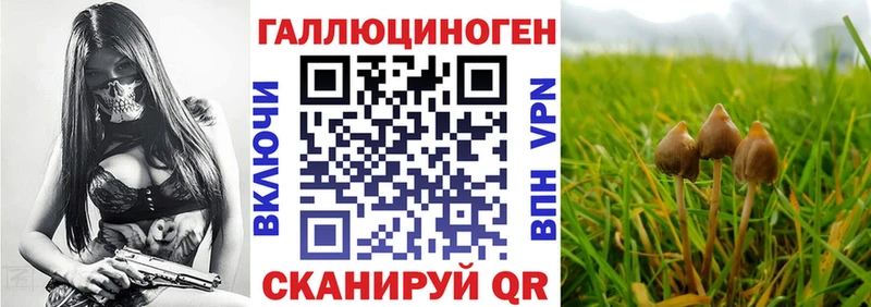 ОМГ ОМГ tor  Первомайск  Галлюциногенные грибы мухоморы 